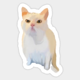 Annoyed Funny meme cat Sticker